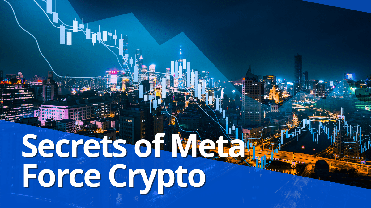 Secrets of Meta Force Crypto: Earn Massive Profits in the Decentralized Revolution!